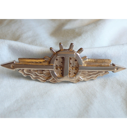 Warfare Pin
